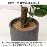 光触媒 フェイクグリーン 通販 観葉植物 人工観葉植物 ポット 鉢植え CMポット インテリアグリーン イミテーショングリーン 消臭 抗菌 防カビ 屋内 室内 おしゃれ かわいい 玄関 リビング