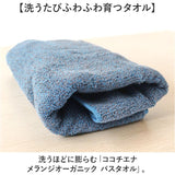 ココチエナ バスタオル 通販 cocochiena 洗うほどに膨らむタオル 日繊商工 CE-22024 オーガニックコットン タオル スイッチパイル 洗うほどふわふわ ふっくら 柔らかい やわらか 普段使い