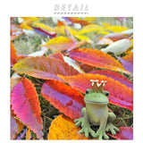 カエル 置物 Copeau コポー 通販 玄関 ガーデニング かわいい 蛙 かえる グッズ オーナメント 小物 雑貨 インテリア おしゃれ 置き物 読書するカエル 王冠のカエル