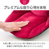 骨盤サポート チェア 姿勢矯正 通販 cosios Premium コシオスプレミアム ボードクッション 座椅子 美姿勢座椅子 骨盤矯正 骨盤座椅子 サポートクッション 男女共用 背筋 骨盤 おしゃれ