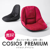 骨盤サポート チェア 姿勢矯正 通販 cosios Premium コシオスプレミアム ボードクッション 座椅子 美姿勢座椅子 骨盤矯正 骨盤座椅子 サポートクッション 男女共用 背筋 骨盤 おしゃれ