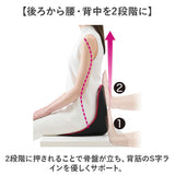 骨盤サポート チェア 姿勢矯正 通販 cosios Premium コシオスプレミアム ボードクッション 座椅子 美姿勢座椅子 骨盤矯正 骨盤座椅子 サポートクッション 男女共用 背筋 骨盤 おしゃれ