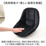 骨盤サポート チェア 姿勢矯正 通販 cosios Premium コシオスプレミアム ボードクッション 座椅子 美姿勢座椅子 骨盤矯正 骨盤座椅子 サポートクッション 男女共用 背筋 骨盤 おしゃれ