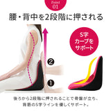 骨盤サポート チェア 姿勢矯正 通販 cosios Premium コシオスプレミアム ボードクッション 座椅子 美姿勢座椅子 骨盤矯正 骨盤座椅子 サポートクッション 男女共用 背筋 骨盤 おしゃれ