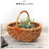 ラタン バスケット M 通販 アラログ ピクニック かご カゴ ハンドル Mサイズ 編み 小物入れ 収納 藤 天然素材 ハンドルバスケット 籠 果物かご フルーツバスケット オーバル型 Creer
