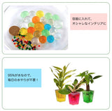水で膨らむ ぷよぷよボール Sサイズ 通販 ジェリーボール 水耕栽培 水でふくらむ 植物栽培用 ボール 園芸用品 おしゃれ フラワーベース オシャレ かわいい 可愛い 花びん 花瓶 インテリア
