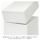 収納ケース 引き出し 通販 クローゼットシステム L 2個組 ライクイット like it 収納 収納ボックス 衣装ケース 幅 32cm 奥行 52cm 衣装ボックス 押し入れ収納 プラスチック 白 ベージュ
