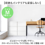 like-it クローゼットシステム ワイド引出し 通販 日本製 収納ケース 引き出し チェスト 衣装ケース 収納ボックス ライクイット CS-WD2 2P ワイド ｍ クローゼット収納 押入れ収納