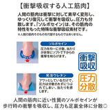 ソルボ インソール 通販 SORBOTHANE ソルボセイン 中敷き オールシーズン 中敷 中じき DSISインソール クッション 衝撃吸収素材 吸湿 発汗 吸水 速乾 快適 足 サポート 靴用品 靴小物
