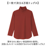 ハイネック レディース 通販 タートルネック プルオーバー eclaT style カットソー 長袖 tシャツ トップス インナー ディーライズ あったか 秋冬 薄手 春 秋 冬 防寒 暖かい 無地
