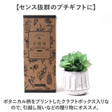 光触媒 観葉植物 通販 フェイクグリーン 人工観葉植物 フェイク グリーン イミテーショングリーン 消臭 抗菌 造花 鉢 ポット おしゃれ オシャレ 置物 置き物 インテリア 癒やし 癒し