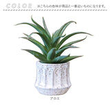 光触媒 観葉植物 通販 フェイクグリーン 人工観葉植物 フェイク グリーン イミテーショングリーン 消臭 抗菌 造花 鉢 ポット おしゃれ オシャレ 置物 置き物 インテリア 癒やし 癒し
