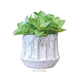光触媒 観葉植物 通販 フェイクグリーン 人工観葉植物 フェイク グリーン イミテーショングリーン 消臭 抗菌 造花 鉢 ポット おしゃれ オシャレ 置物 置き物 インテリア 癒やし 癒し