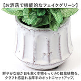 光触媒 観葉植物 通販 フェイクグリーン 人工観葉植物 フェイク グリーン イミテーショングリーン 消臭 抗菌 造花 鉢 ポット おしゃれ オシャレ 置物 置き物 インテリア 癒やし 癒し
