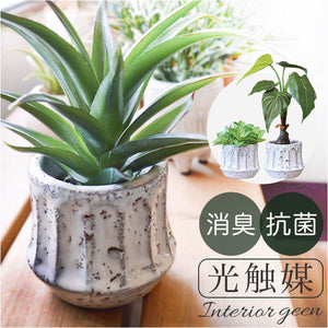 光触媒 観葉植物 通販 フェイクグリーン 人工観葉植物 フェイク グリーン イミテーショングリーン 消臭 抗菌 造花 鉢 ポット おしゃれ オシャレ 置物 置き物 インテリア 癒やし 癒し