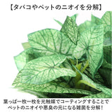 光触媒 観葉植物 通販 フェイクグリーン 人工観葉植物 フェイク グリーン イミテーショングリーン 消臭 抗菌 造花 鉢 ポット おしゃれ オシャレ 置物 置き物 インテリア 癒やし 癒し