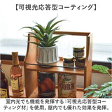 光触媒 観葉植物 通販 フェイクグリーン 人工観葉植物 フェイク グリーン イミテーショングリーン 消臭 抗菌 造花 鉢 ポット おしゃれ オシャレ 置物 置き物 インテリア 癒やし 癒し