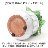 光触媒 観葉植物 通販 フェイクグリーン 人工観葉植物 フェイク グリーン イミテーショングリーン 消臭 抗菌 造花 鉢 ポット おしゃれ オシャレ 置物 置き物 インテリア 癒やし 癒し