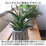 光触媒 観葉植物 通販 フェイクグリーン 人工観葉植物 フェイク グリーン イミテーショングリーン 消臭 抗菌 造花 鉢 ポット おしゃれ オシャレ 置物 置き物 インテリア 癒やし 癒し