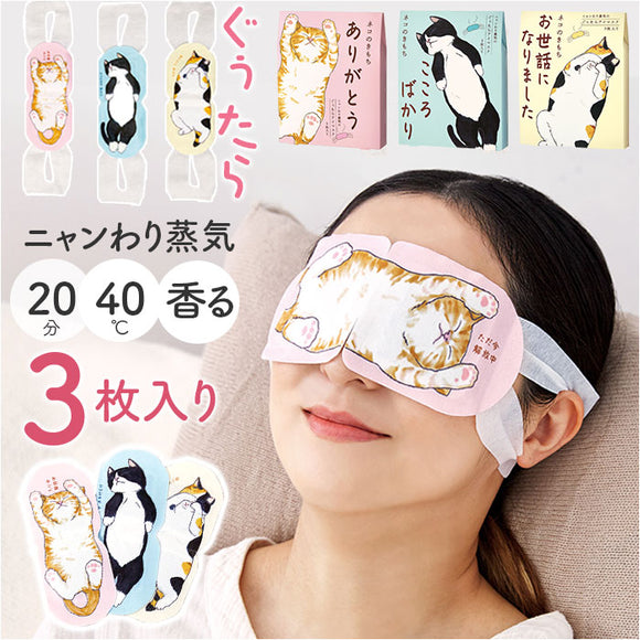 アイマスク 使い捨て 可愛い 通販 ホットアイマスク 使い捨てアイマスク 温熱アイマスク アロマタイプ 温熱 目元ケア 目元 ケア 心地よい アソート3枚入り プチギフト