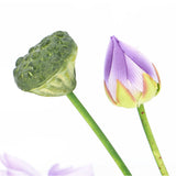 蓮 花 造花 通販 蓮の花 はすの花 アーティフィシャルフラワー アーティフィシャルグリーン アートフラワー フェイクフラワー フェイクグリーン インテリア 観葉植物 ブッシュ