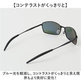 冒険王 サングラス 偏光 通販 偏光グラス 偏光サングラス フラッシュバトル メガネ 眼鏡 めがね スポーツサングラス UVカット メンズ レディース 男女兼用 ユニセックス 男性 女性