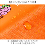 キーリング 財布 通販 FRUIT OF THE LOOM フルーツオブザルーム キーケース スマートキー 鍵入れ ミニウォレット ミニ財布 コンパクト コインケース 小銭入れ 持ち運び かわいい おしゃれ