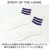 fruit of the loom ソックス ショート 通販 靴下 くつした くつ下 ラインソックス ライン ショート丈 リブ 3足 セット メンズ レディース フルーツオブザルーム おしゃれ レッグウェア
