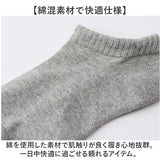 fruit of the loom ソックス メンズ 3足セット 通販 靴下 くつした くつ下 メンズソックス メンズ靴下 3足 セット ベーシック 紳士 男性 フルーツオブザルーム おしゃれ レッグウェア