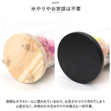 仏花 プリザーブドフラワー 仏壇用 通販 ブリザーブドフラワー アレンジメントフラワー お供え 造花 ガラスドームアレンジメント お悔み花 お彼岸 お盆 法事 法要 供養 献花 お墓参り