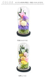 仏花 プリザーブドフラワー 仏壇用 通販 ブリザーブドフラワー アレンジメントフラワー お供え 造花 ガラスドームアレンジメント お悔み花 お彼岸 お盆 法事 法要 供養 献花 お墓参り