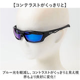 冒険王 サングラス 偏光 通販 偏光グラス 偏光サングラス ファイバービュー メガネ 眼鏡 めがね スポーツサングラス 反射防止 UVカット メンズ レディース 男女兼用 ユニセックス 男性