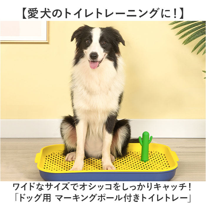 ペットアクリルトイレトレー DAIHUKUtype(W) ワイド※飛散ガード付き