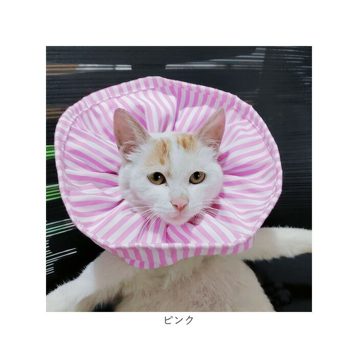 ◆ピンクの猫ページ◆ GEhfYRQaQAA8AtK.jpg