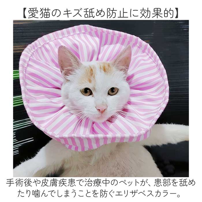 ピンクの猫 楽天市場】POP UP PARADE NEEDY GIRL OVERDOSE 超絶最かわてんし