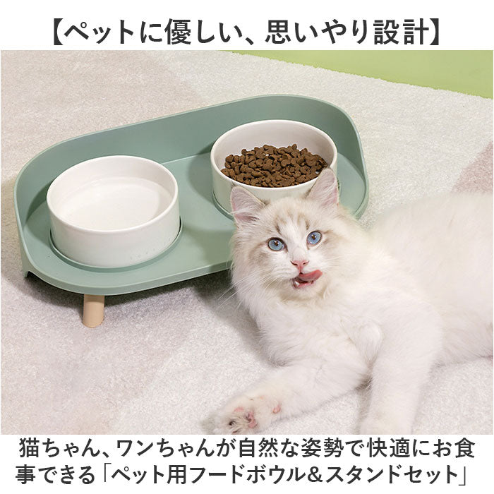 Pet ペットボウル 猫 食器 フードボウル 陶器 スタンド ペット用　餌入れ 楽天市場】【本日限り！ポイント倍率UP＋5％OFF】ペット フードボウル