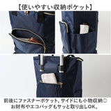 ショッピングカート 折り畳み 保冷 通販 キャリーカート 買い物カート ショッピングキャリー カート キャリーバッグ キャリーバック 保冷バッグ 保冷バック 折りたたみ おりたたみ 収納
