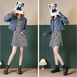 ショートブーツ レディース 本革 通販 レザーブーツ チャンキーブーツ ハイヒール チャンキーヒール 靴 ブーツ 歩きやすい 履きやすい ファスナー サイドジップ ショート レザー 紐なし