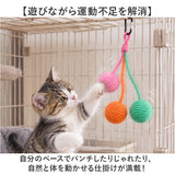 猫 ボール おもちゃ 通販 ねこ オモチャ キャットトイ 爪とぎ 成猫 吊り下げ ケージ に つける 一人遊び 留守番 運動不足解消 子猫 ボールおもちゃ ネコ 室内遊び ストレス解消 ギフト