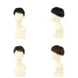 PRISILA プリシラ メンズ 部分ウィッグ 部分ウイッグ 通販 部分かつら ヘアピース カバーピース かつら ウィッグ ウイッグ つけ毛 メンズウィッグ 五分ウィッグ 5分ウィッグ 五分ウイッグ