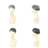 PRISILA プリシラ メンズ 部分ウィッグ 部分ウイッグ 通販 部分かつら ヘアピース カバーピース かつら ウィッグ ウイッグ つけ毛 メンズウィッグ 五分ウィッグ 5分ウィッグ 五分ウイッグ