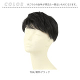 PRISILA プリシラ メンズ 部分ウィッグ 部分ウイッグ 通販 部分かつら ヘアピース カバーピース かつら ウィッグ ウイッグ つけ毛 メンズウィッグ 五分ウィッグ 5分ウィッグ 五分ウイッグ