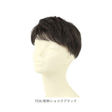 PRISILA プリシラ メンズ 部分ウィッグ 部分ウイッグ 通販 部分かつら ヘアピース カバーピース かつら ウィッグ ウイッグ つけ毛 メンズウィッグ 五分ウィッグ 5分ウィッグ 五分ウイッグ
