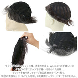 PRISILA プリシラ メンズ 部分ウィッグ 部分ウイッグ 通販 部分かつら ヘアピース カバーピース かつら ウィッグ ウイッグ つけ毛 メンズウィッグ 五分ウィッグ 5分ウィッグ 五分ウイッグ