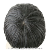 PRISILA プリシラ メンズ 部分ウィッグ 部分ウイッグ 通販 部分かつら ヘアピース カバーピース かつら ウィッグ ウイッグ つけ毛 メンズウィッグ 五分ウィッグ 5分ウィッグ 五分ウイッグ