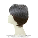 PRISILA プリシラ メンズ 部分ウィッグ 部分ウイッグ 通販 部分かつら ヘアピース カバーピース かつら ウィッグ ウイッグ つけ毛 メンズウィッグ 五分ウィッグ 5分ウィッグ 五分ウイッグ
