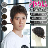 PRISILA プリシラ メンズ 部分ウィッグ 部分ウイッグ 通販 部分かつら ヘアピース カバーピース かつら ウィッグ ウイッグ つけ毛 メンズウィッグ 五分ウィッグ 5分ウィッグ 五分ウイッグ