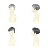 PRISILA プリシラ メンズ 部分ウィッグ 部分ウイッグ 通販 部分かつら ヘアピース カバーピース かつら ウィッグ ウイッグ つけ毛 メンズウィッグ 五分ウィッグ 5分ウィッグ 五分ウイッグ