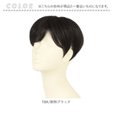 PRISILA プリシラ メンズ 部分ウィッグ 部分ウイッグ 通販 部分かつら ヘアピース カバーピース かつら ウィッグ ウイッグ つけ毛 メンズウィッグ 五分ウィッグ 5分ウィッグ 五分ウイッグ