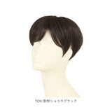 PRISILA プリシラ メンズ 部分ウィッグ 部分ウイッグ 通販 部分かつら ヘアピース カバーピース かつら ウィッグ ウイッグ つけ毛 メンズウィッグ 五分ウィッグ 5分ウィッグ 五分ウイッグ